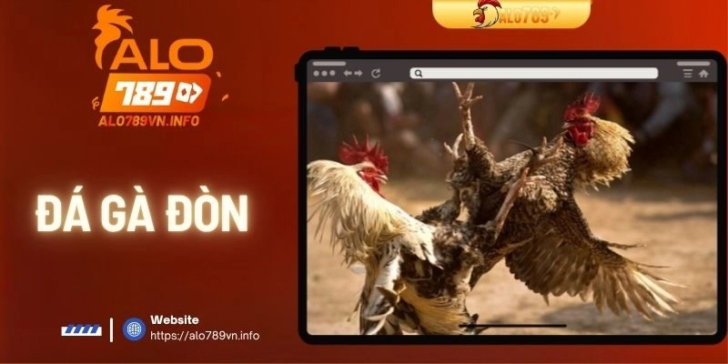 Đá Gà Đòn – Cơ Hội Thắng Lớn Với Những Trận Đấu Kịch Tính