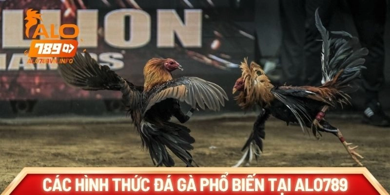 Các hình thức đá gà phổ biến tại ALO789
