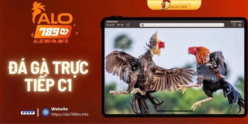 Đà Gà Trực Tiếp C1