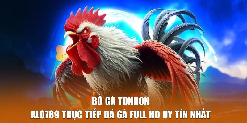Bồ Gà Tonhon - Alo789 Trực Tiếp Đá Gà Full HD Uy Tín Nhất 