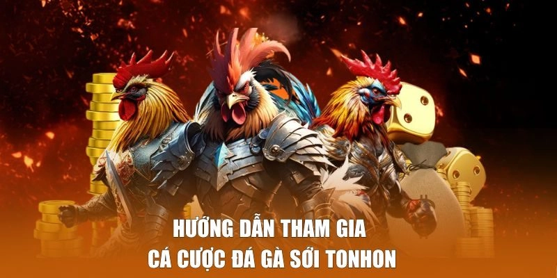 Chi tiết cách tham gia cá cược đá gà sới Tonhon Alo789